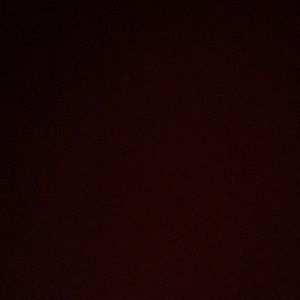 Meet your Posher, Lucy anne